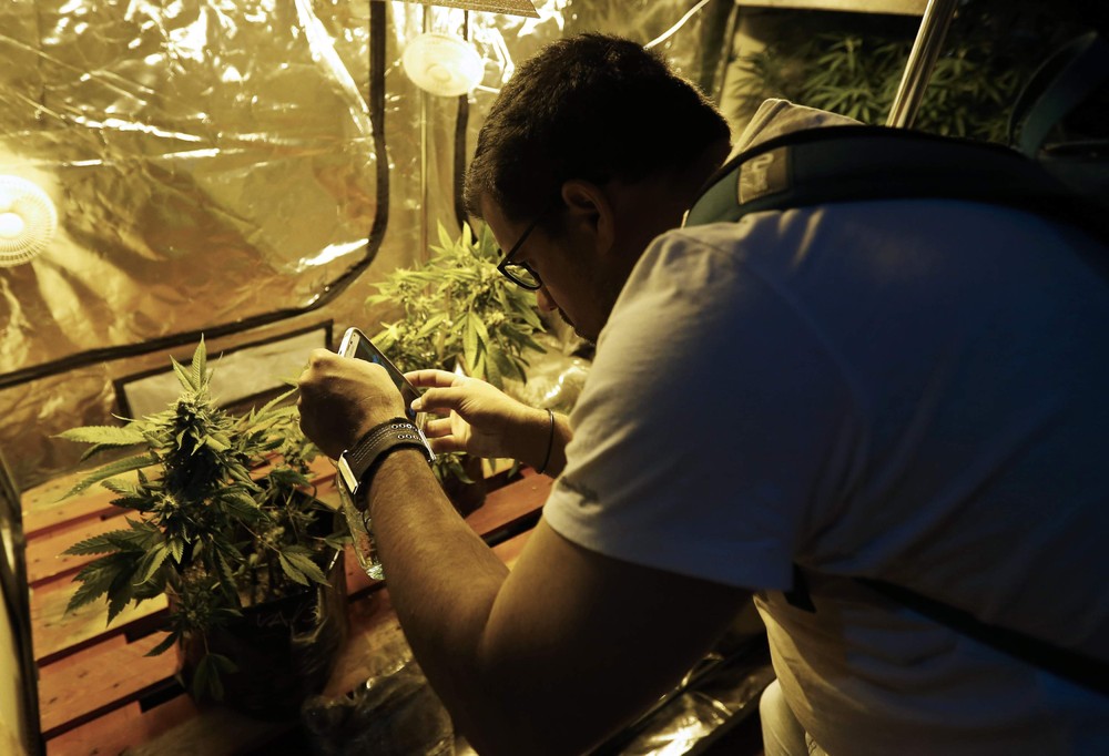 Первая “Expo Cannabis” ярмарка в Уругвае