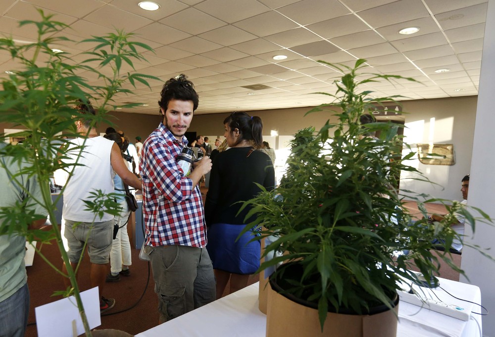 Первая “Expo Cannabis” ярмарка в Уругвае