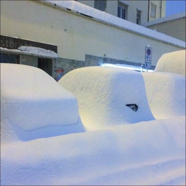 Прикольные картикни