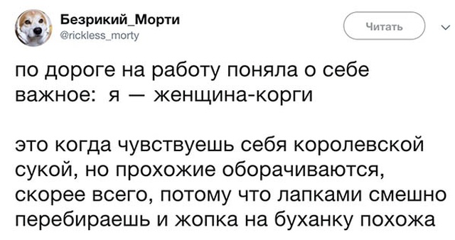 Креативные высказывания и комментарии от людей с чувством юмора