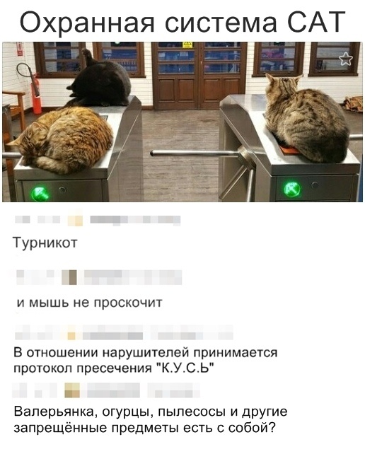 Креативные высказывания и комментарии от людей с чувством юмора