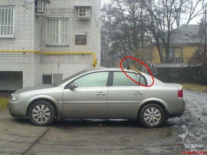 Автоместь (50 фото)