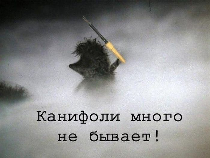 Порция картинок