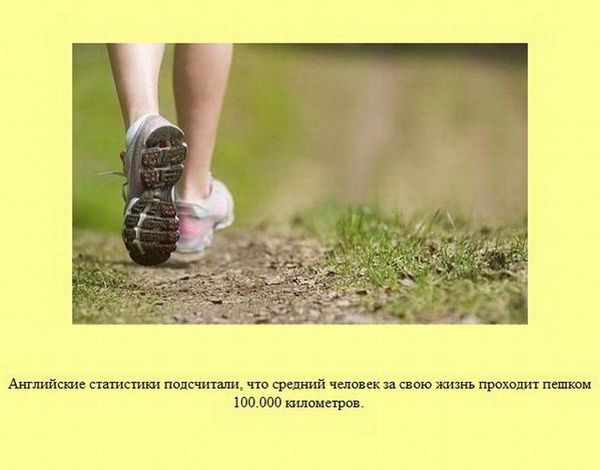 Любопытные факты обо всем на свете