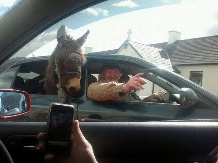 Автомобильный юмор