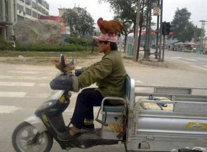 Автомобильный юмор