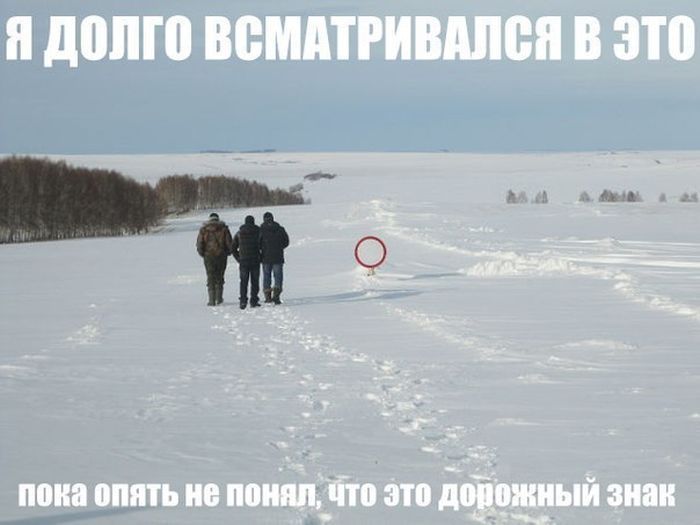 Авто-юмор (60 фото)