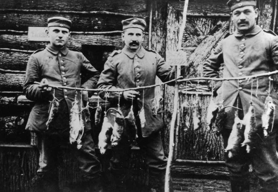 Ранее неопубликованные фотографии Первой Мировой войны (62 фото)
