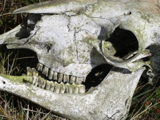 Самые ужасные и таинственные острова (10 фото) Самые ужасные и таинственные острова (10 фото)