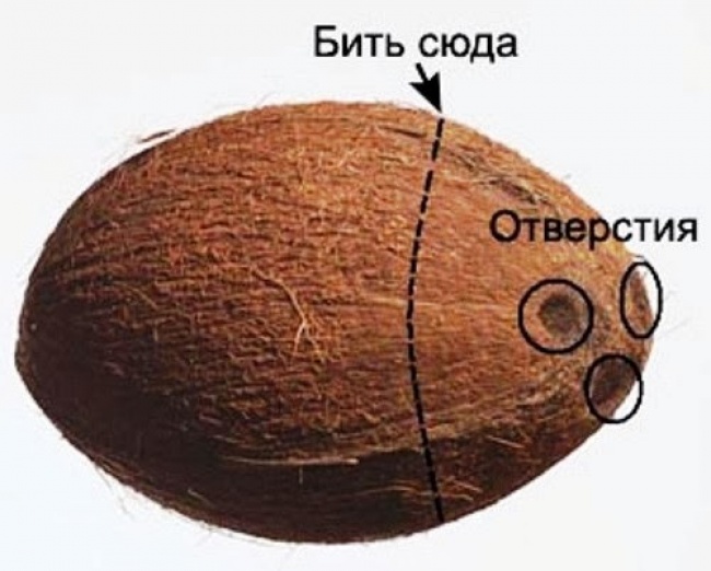 10 продуктов, которые мы всю жизнь открывали неправильно