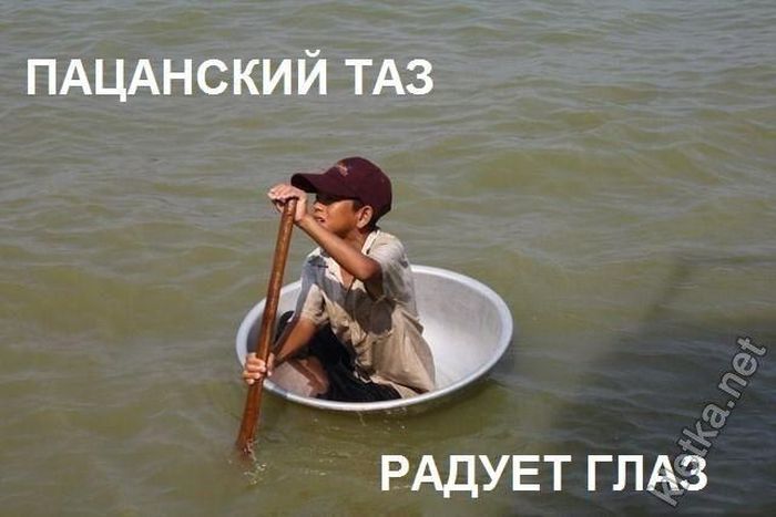 Авто-юмор. Часть 8 (40 фото)