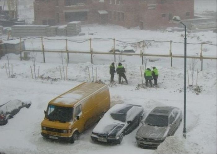 Деревья нужно сажать весной! (2 фото)