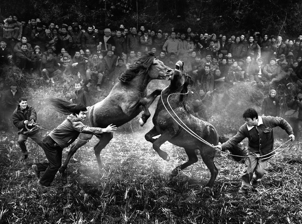 Первые победители Sony World Photography Awards 2014 Первые победители Sony World Photography Awards 2014