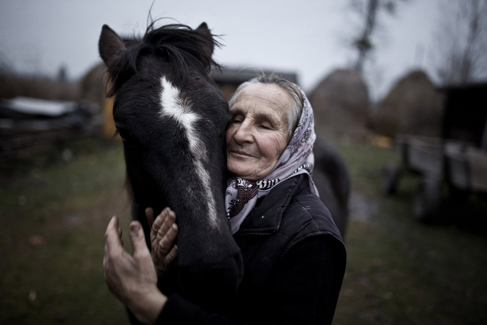 Первые победители Sony World Photography Awards 2014 Первые победители Sony World Photography Awards 2014
