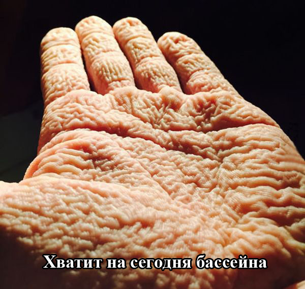 Порция картинок