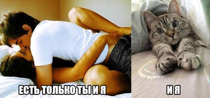 Порция картинок