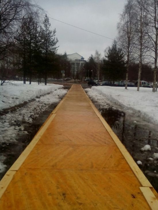 В Архангельске, к форуму с участием Путина, тротуар вместо асфальта покрыли паркетом