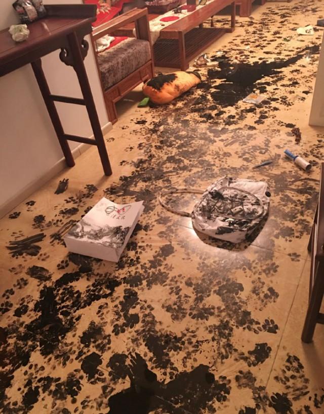 Хаски оставили одного на три часа