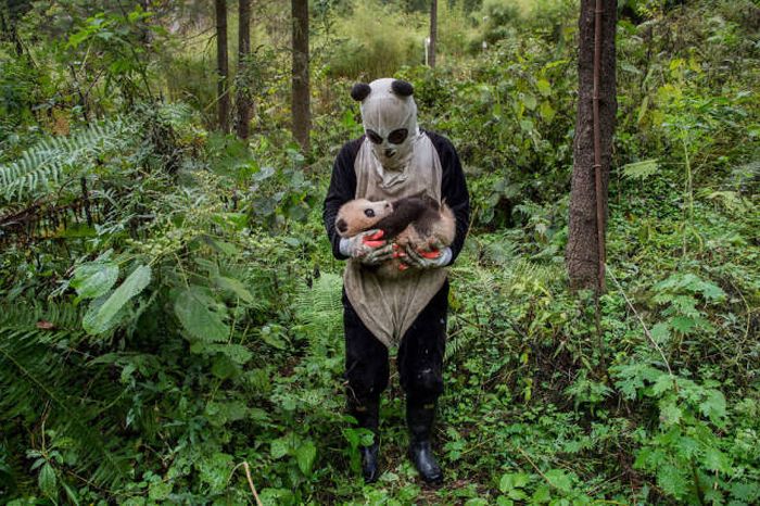 Лучшие работы фотоконкурса Sony World Photography Awards
