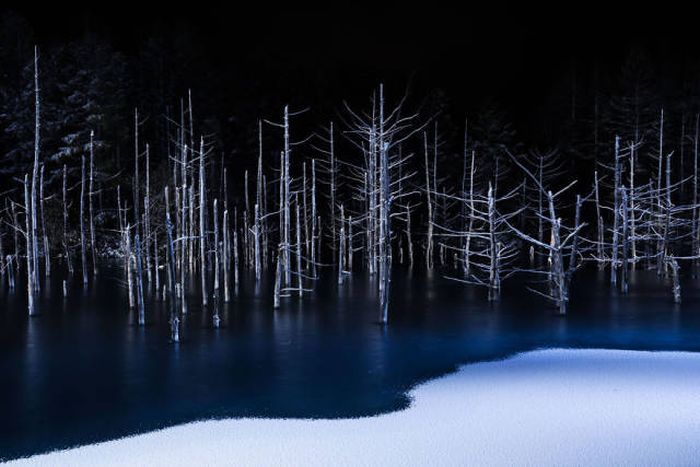 Лучшие работы фотоконкурса Sony World Photography Awards
