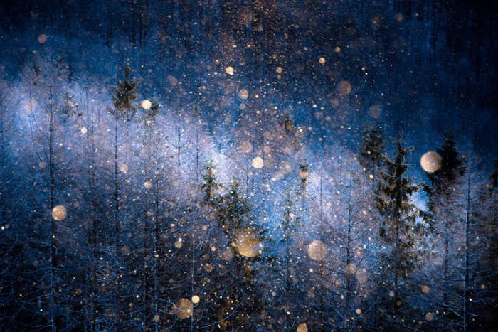 Лучшие работы фотоконкурса Sony World Photography Awards