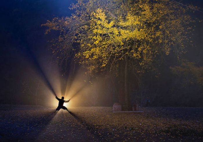 Лучшие работы фотоконкурса Sony World Photography Awards