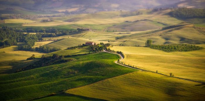Лучшие работы фотоконкурса Sony World Photography Awards