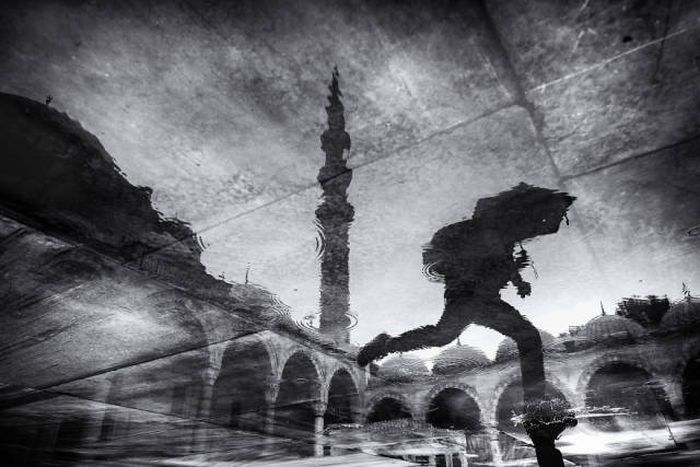 Лучшие работы фотоконкурса Sony World Photography Awards