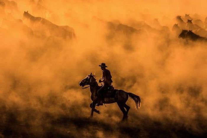 Лучшие работы фотоконкурса Sony World Photography Awards