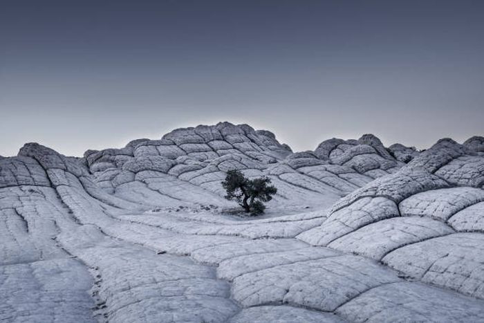 Лучшие работы фотоконкурса Sony World Photography Awards