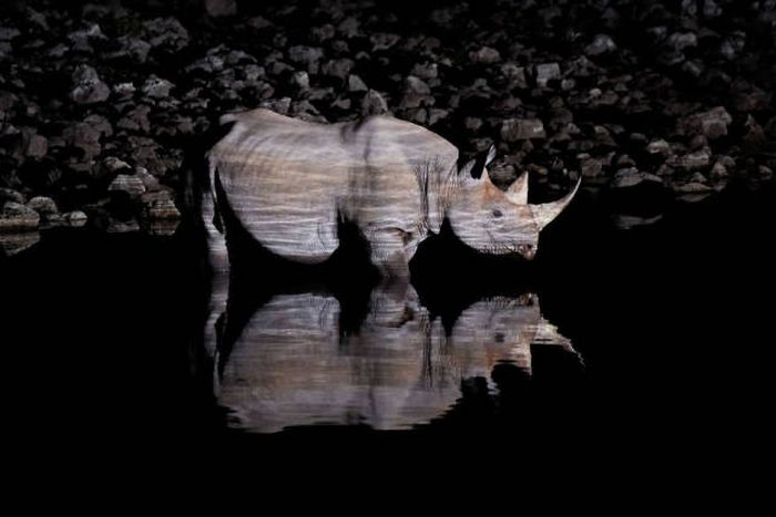 Лучшие работы фотоконкурса Sony World Photography Awards