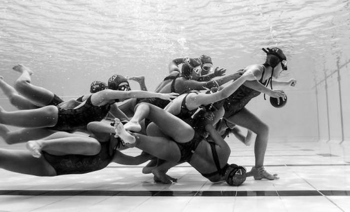Лучшие работы фотоконкурса Sony World Photography Awards