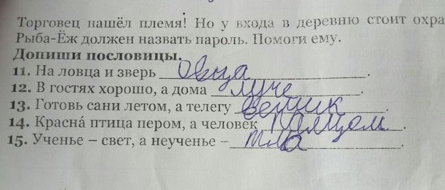 14 ответов детей, заслуживших пятерку за находчивость