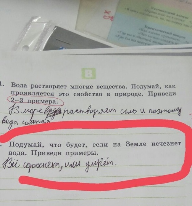 14 ответов детей, заслуживших пятерку за находчивость