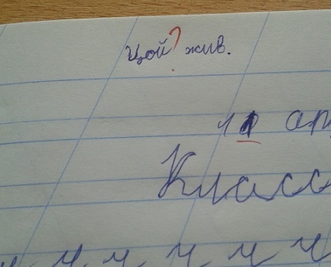14 ответов детей, заслуживших пятерку за находчивость