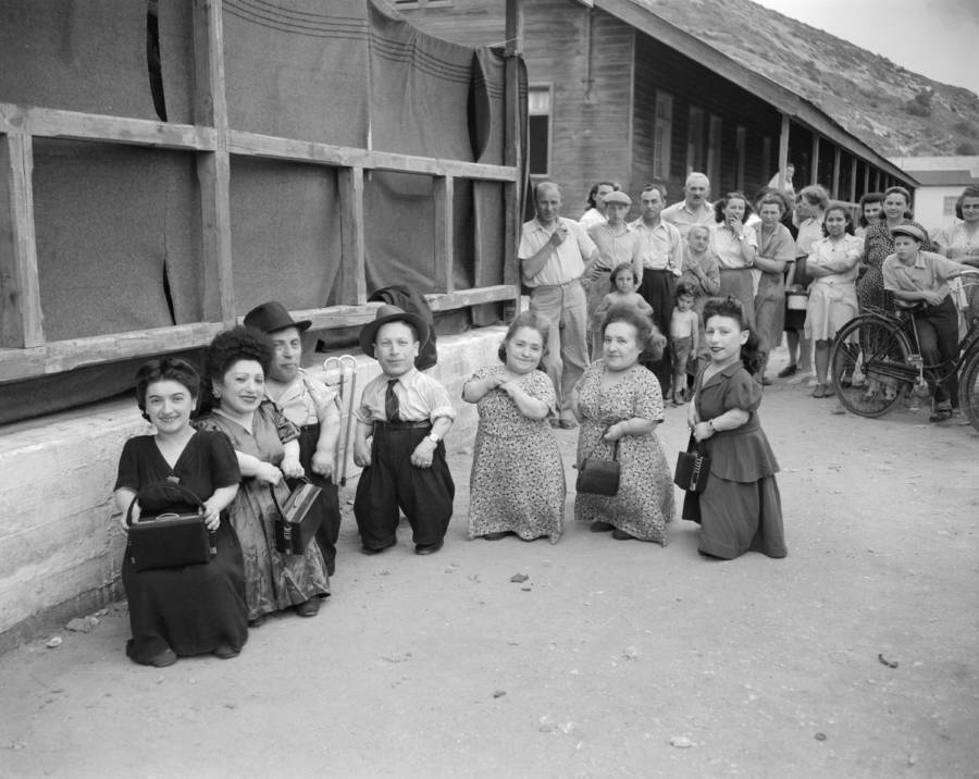 История карликов-евреев, которые пережили эксперименты в Освенциме История карликов-евреев, которые пережили эксперименты в Освенциме