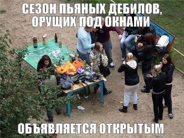 Порция картинок