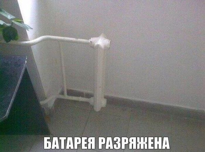 Порция картинок