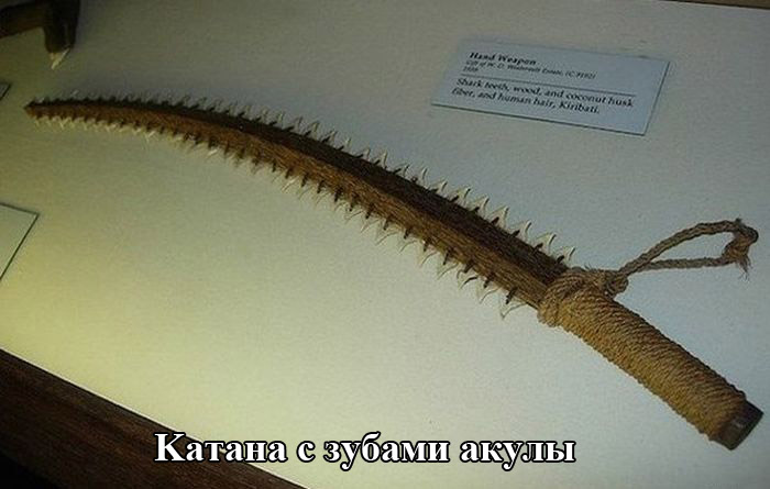 Порция картинок