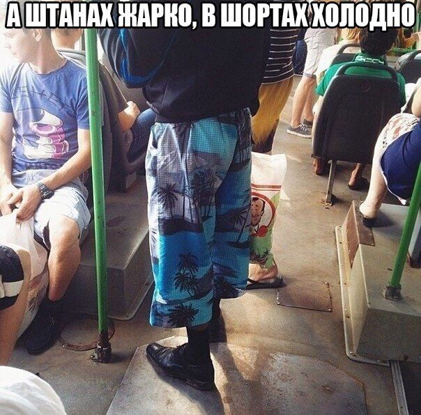 Порция картинок