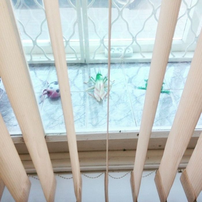 «Акулы дизайна» снова в деле