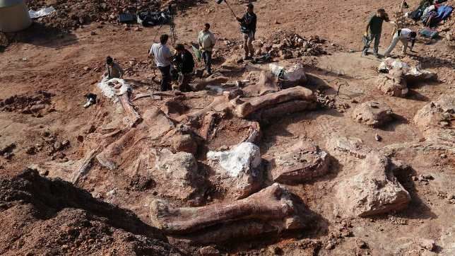Самый большой в мире динозавр был обнаружен в Аргентине (10 фото) Самый большой в мире динозавр был обнаружен в Аргентине (10 фото)
