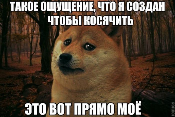 Порция картинок
