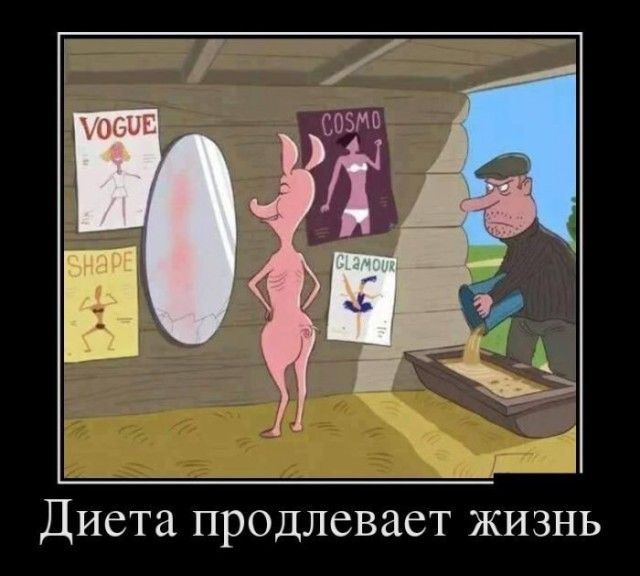 Шутки про лишний вес