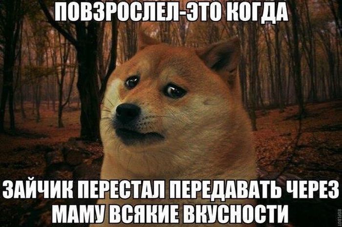 Порция картинок