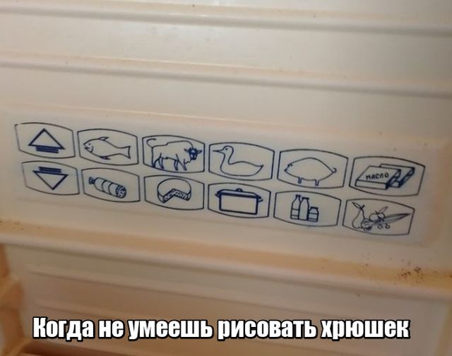 Прикольные картинки