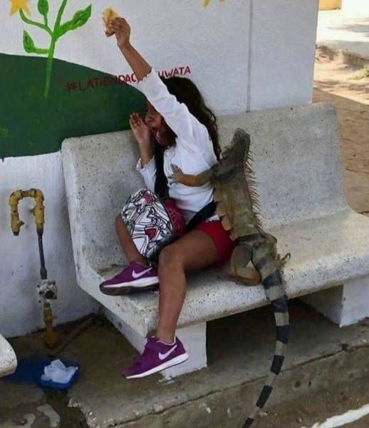 Прикольные картинки