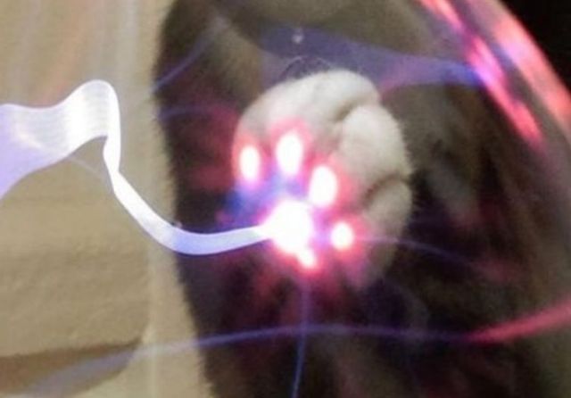 Удивительные вещи, которые стоит узнать каждому Удивительные вещи, которые стоит узнать каждому
