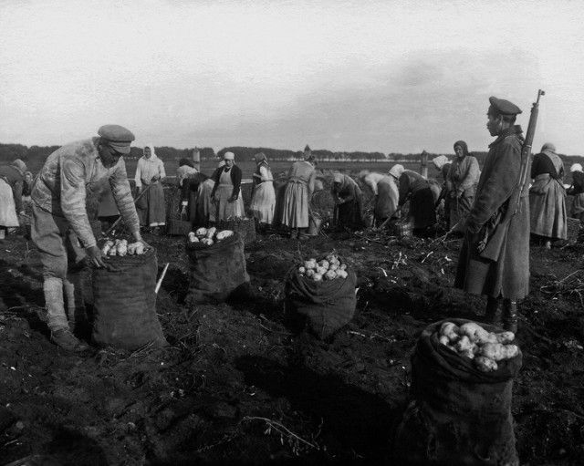 Крестьянская жизнь в Российской империи Крестьянская жизнь в Российской империи