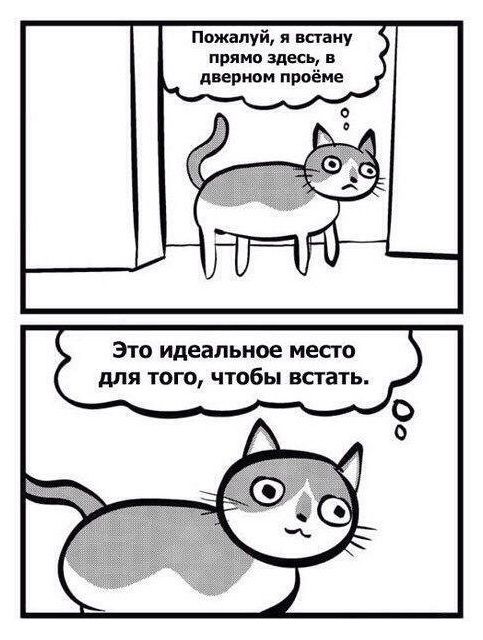 Смешные комиксы
